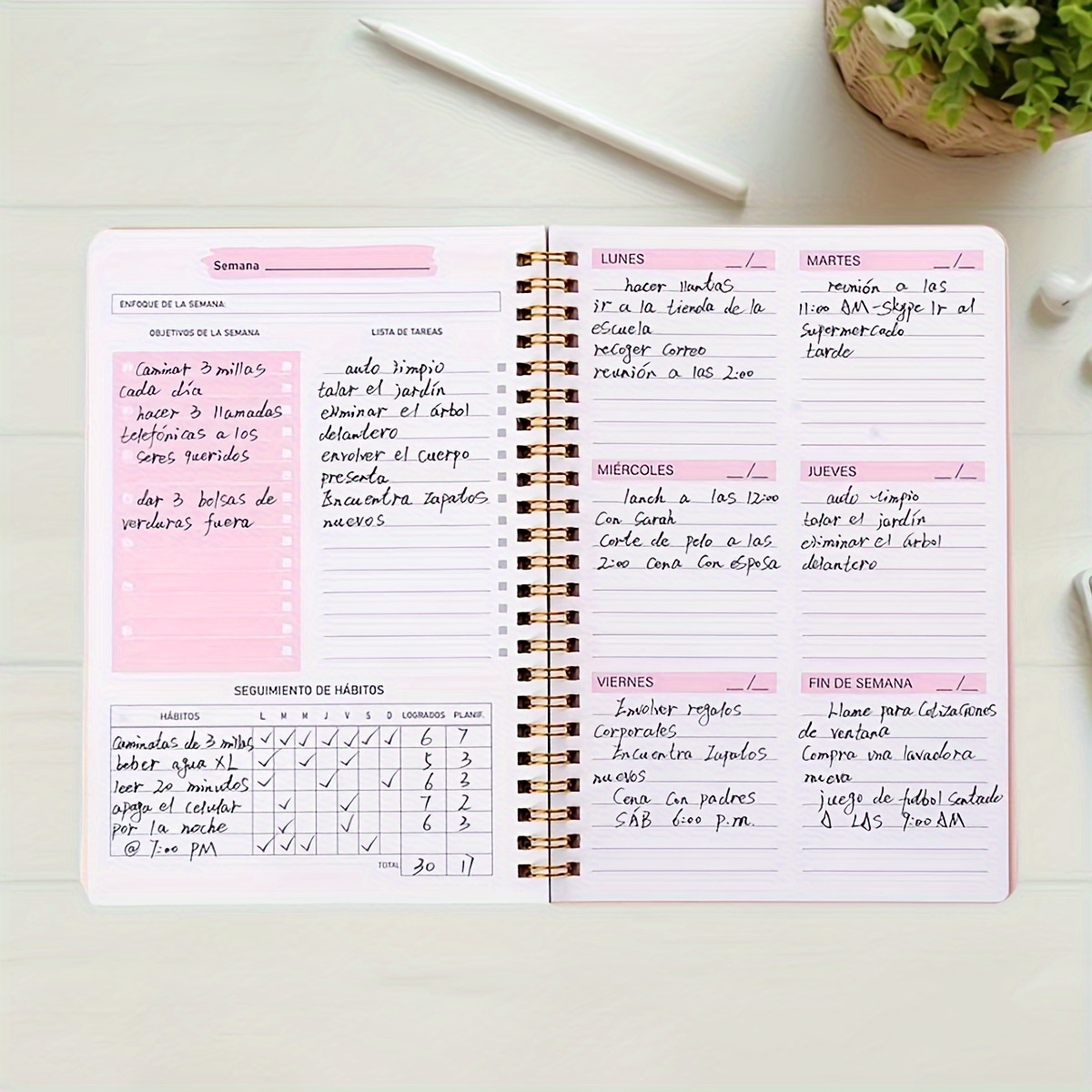 52-tymczasowy planer tygodniow – Planned Parenthood recenzja i cena